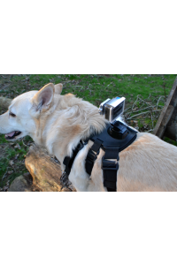 Retrieve Extreme GoPro Dog Harness